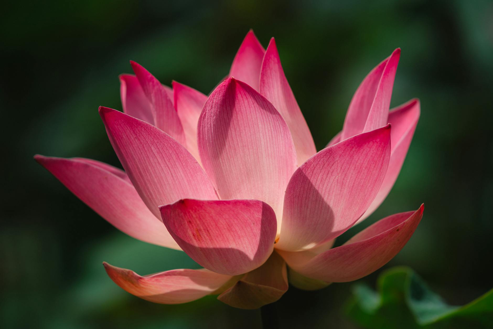 An Attachment Theory Reflection: The Uncomfortable Reality of Accountability in Healing
